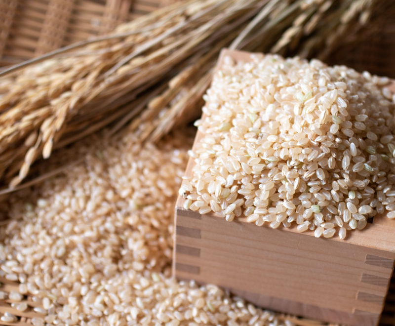 ムソー株式会社 新卒採用 注目の成長分野ど真ん中!